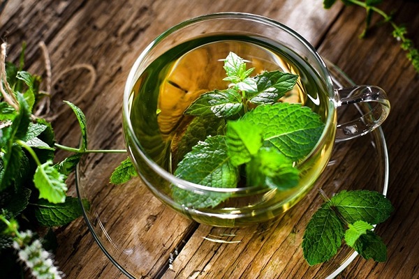 تصویر 3 از فروش دمنوش نعناع دشتی + قیمت خرید به صرفه